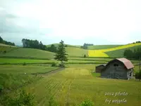 自動画像