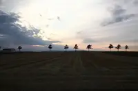 自動画像